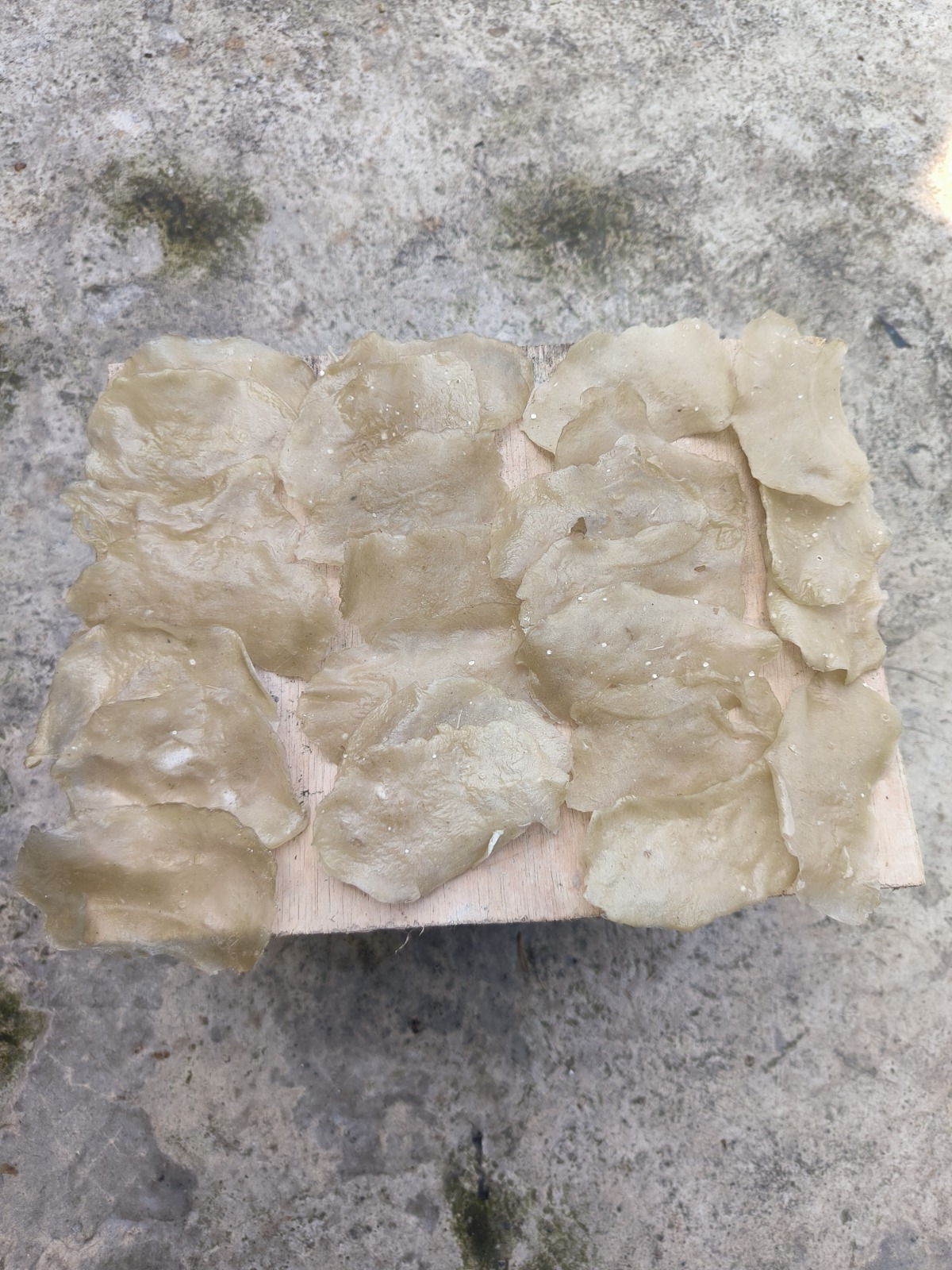 Kerupuk Ikan Bandeng Mentah