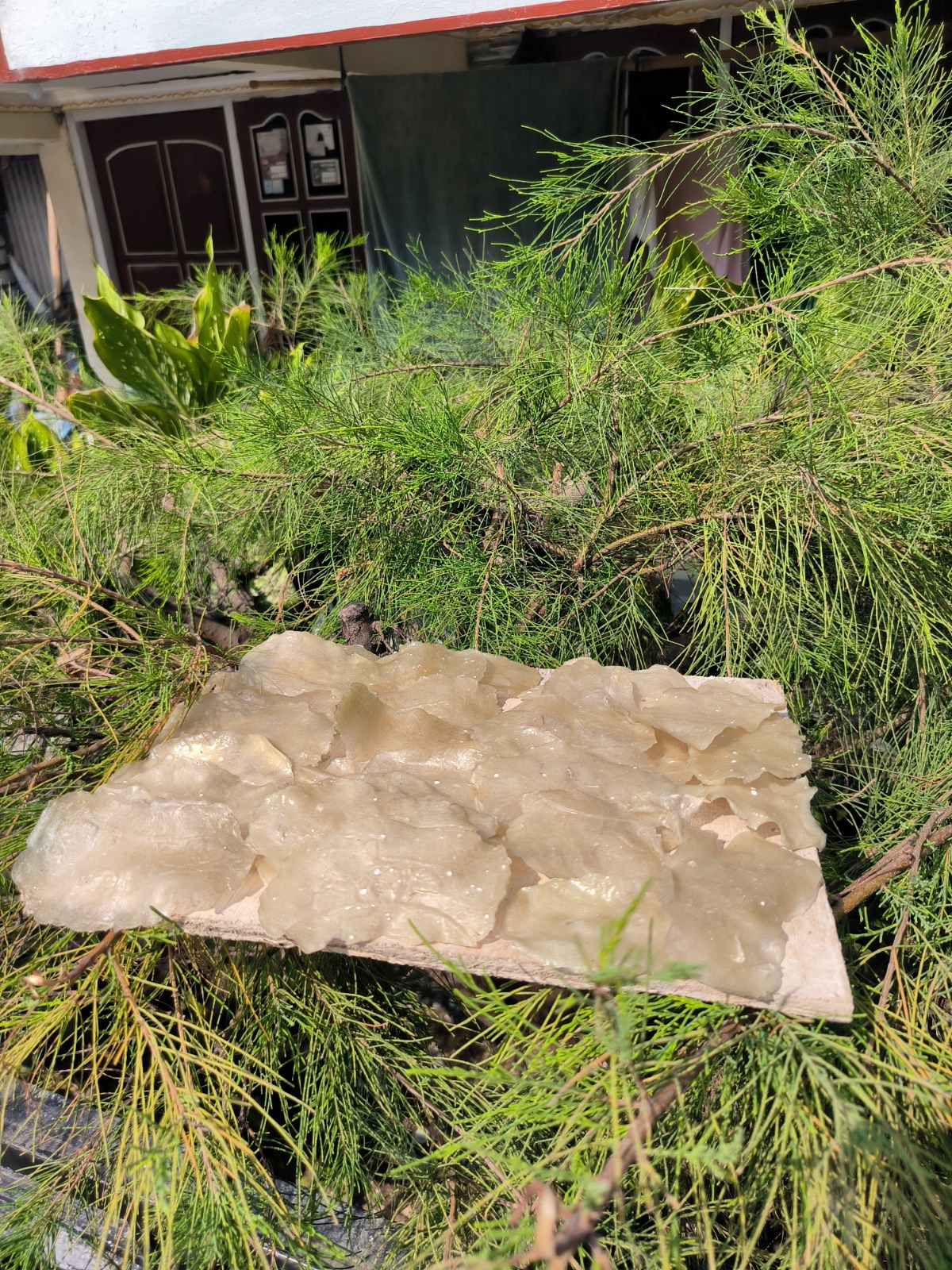 Kerupuk Ikan Bandeng Mentah 3