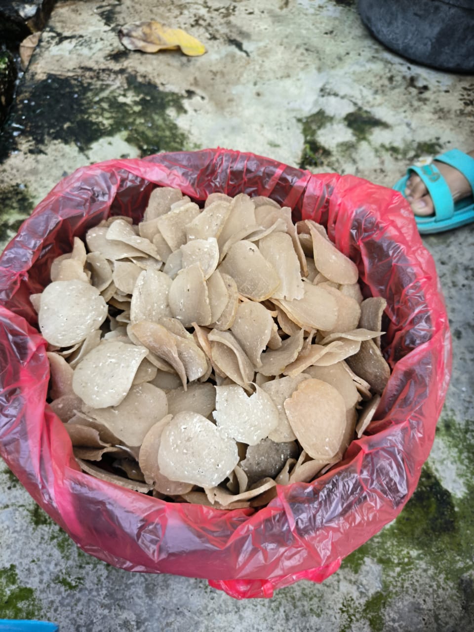 Kerupuk Ikan Bandeng Mentah 6