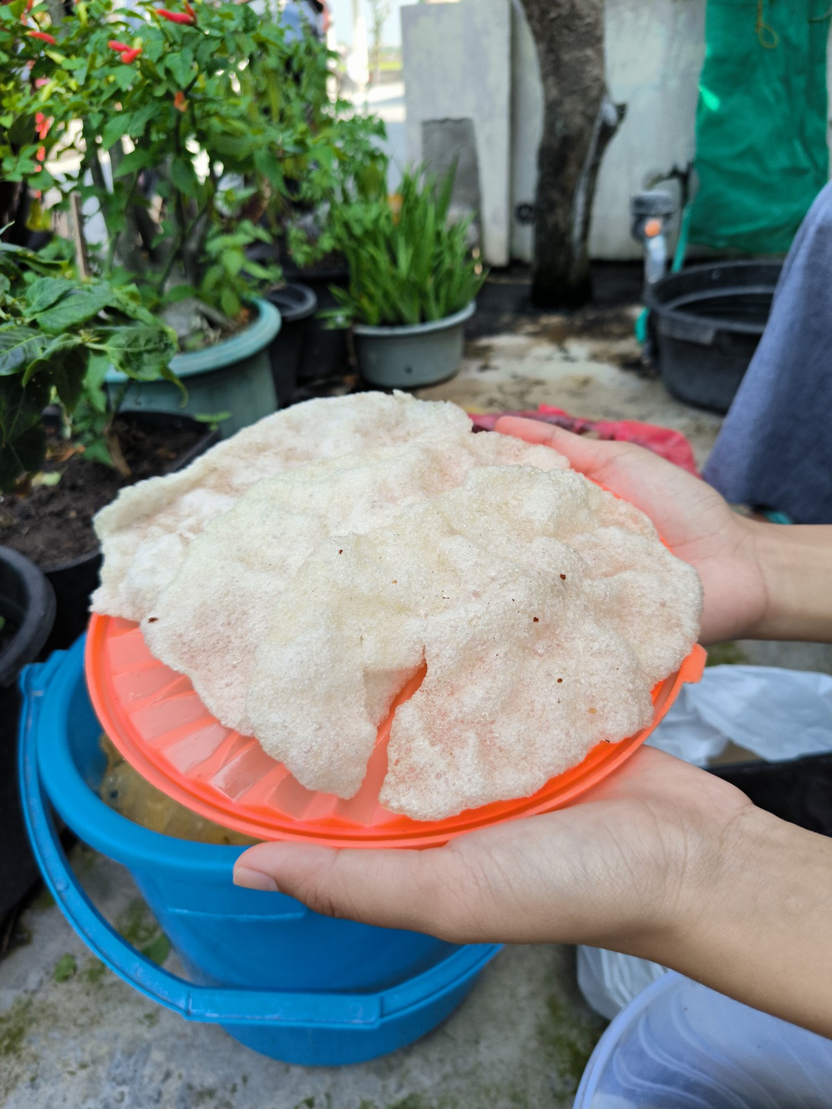 Kerupuk Samiler Matang