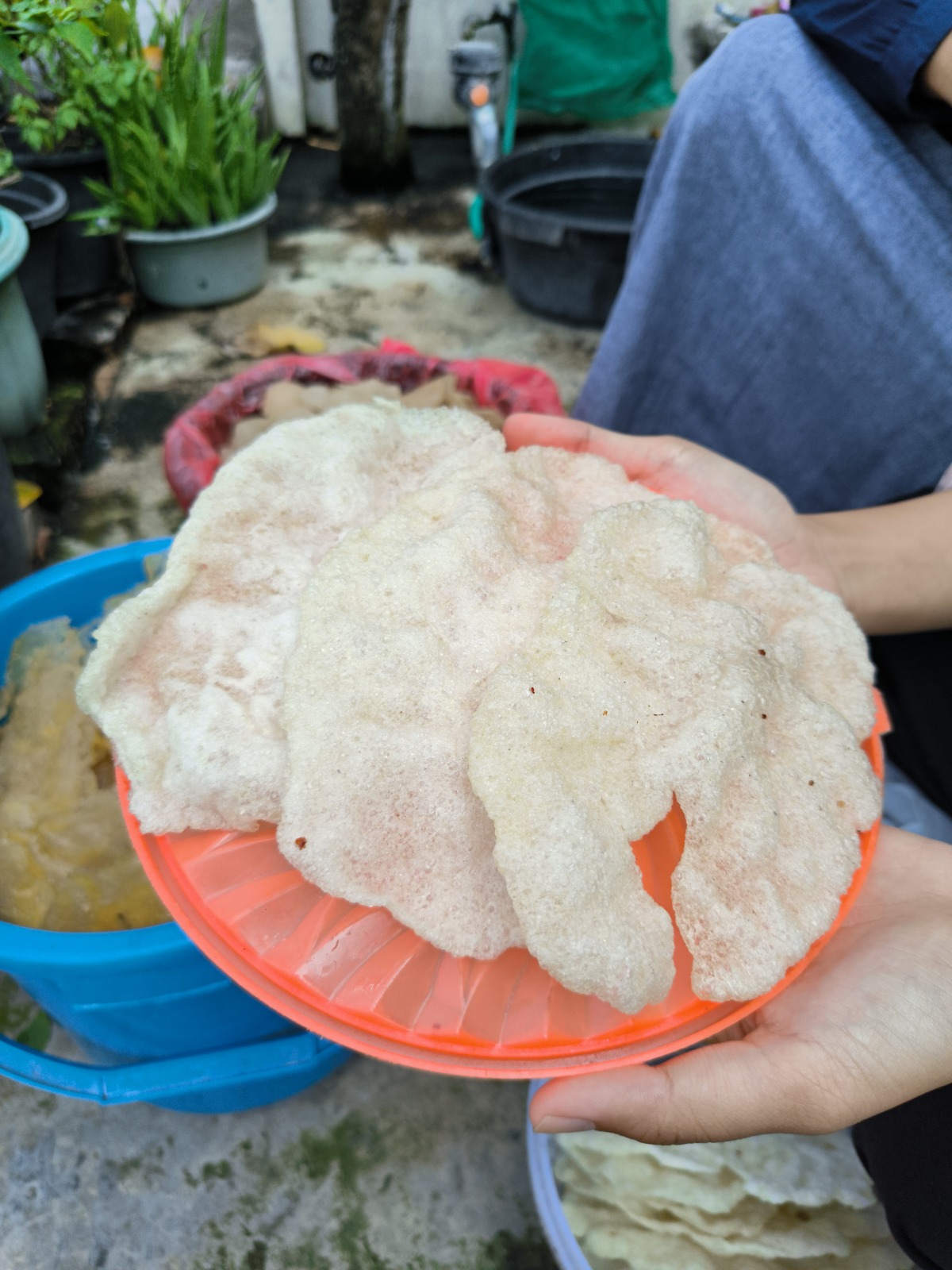 Kerupuk Samiler Matang 2